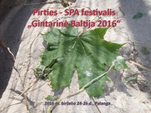 Gintarinė baltija 2016